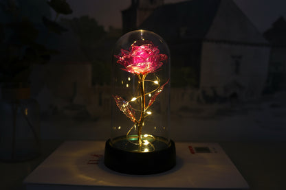 Eternal Glow Rose™