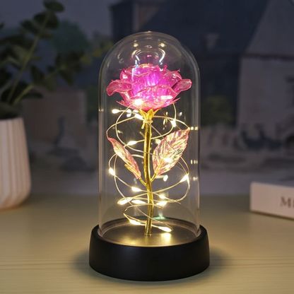 Eternal Glow Rose™