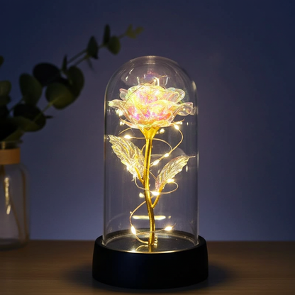 Eternal Glow Rose™