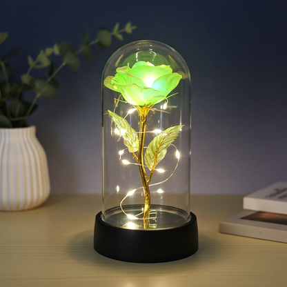 Eternal Glow Rose™